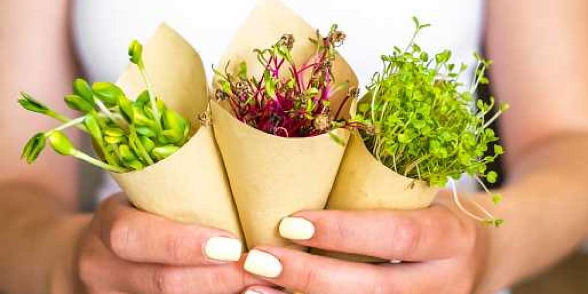 Microgreens Market Outlook of Top Companies, Regional Share, and Province Forecast 2030