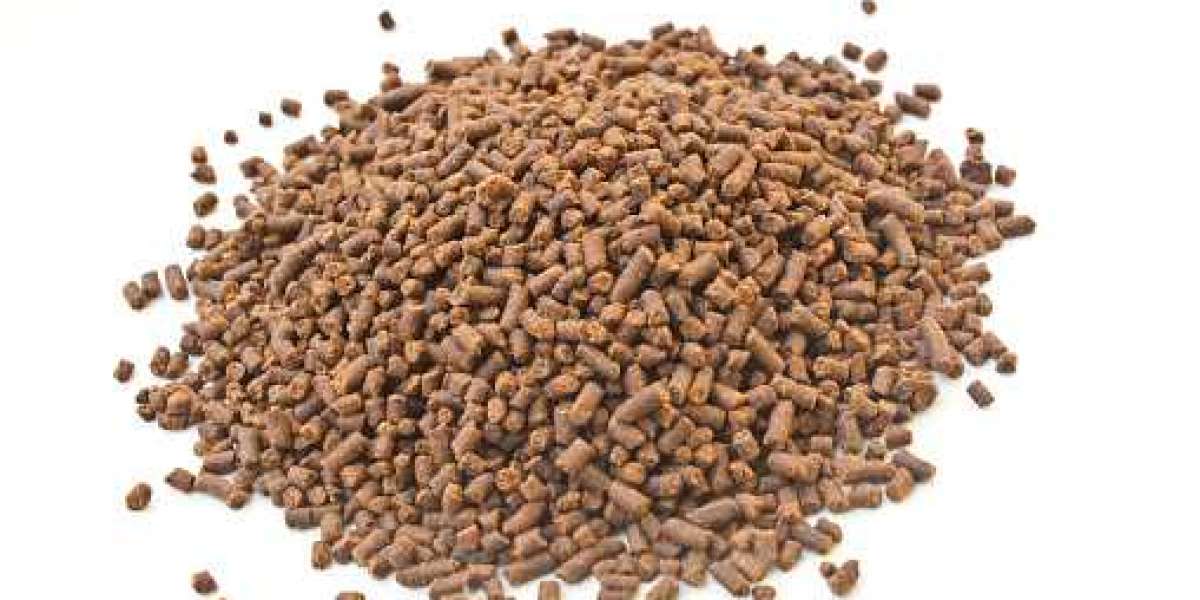 Fishmeal Market Share Factors Information | Analytical Insights 2022-2030