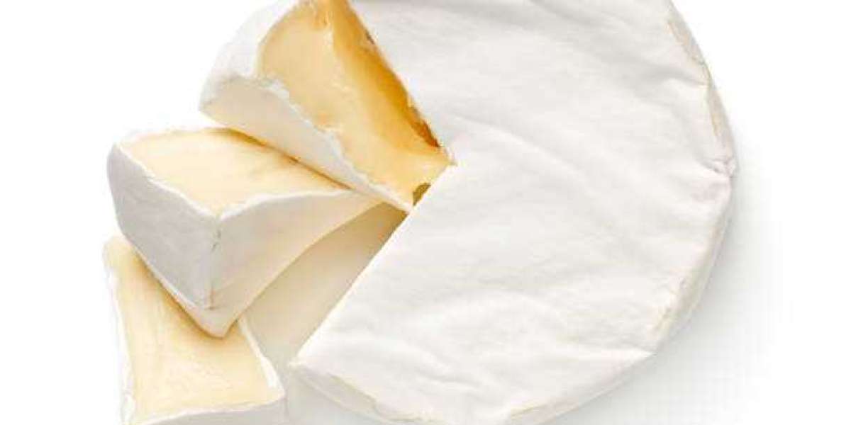 Natural Cheese Market Trends, Industry & Landscape Outlook, Revenue Growth Analysis to 2028