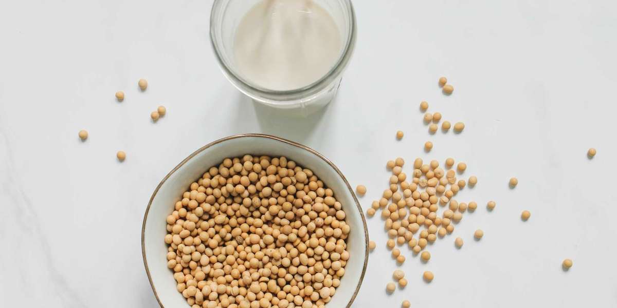 Soy Milk Market Share, Company Revenue Share, Key Drivers, and Trend Analysis 2030