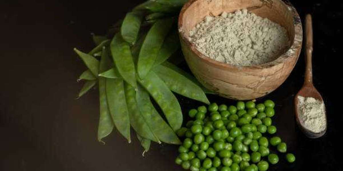 Pea Protein Market Trends, Growth, Trends, Company Profiles, Analysis & Forecast Till 2030