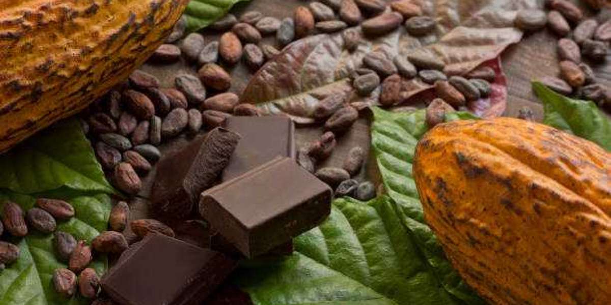 Organic Chocolate Market Trends, Revenue Growth Factors & Trends, Key Player Strategy Analysis 2030
