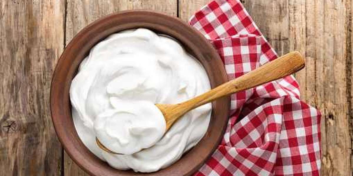 Dairy Cream Market Overview with Application, Drivers, Regional Revenue, and Forecast 2028