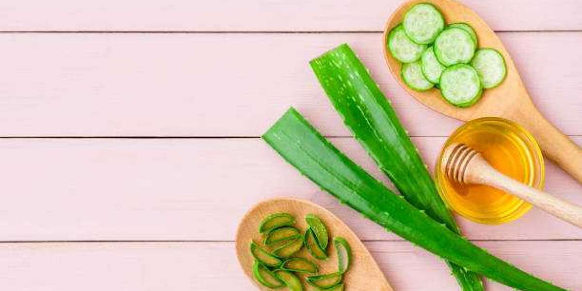 Aloe Vera Products Market Trends, Driving Factors, Key Players, Strategies, Trends, Forecast Till 2030