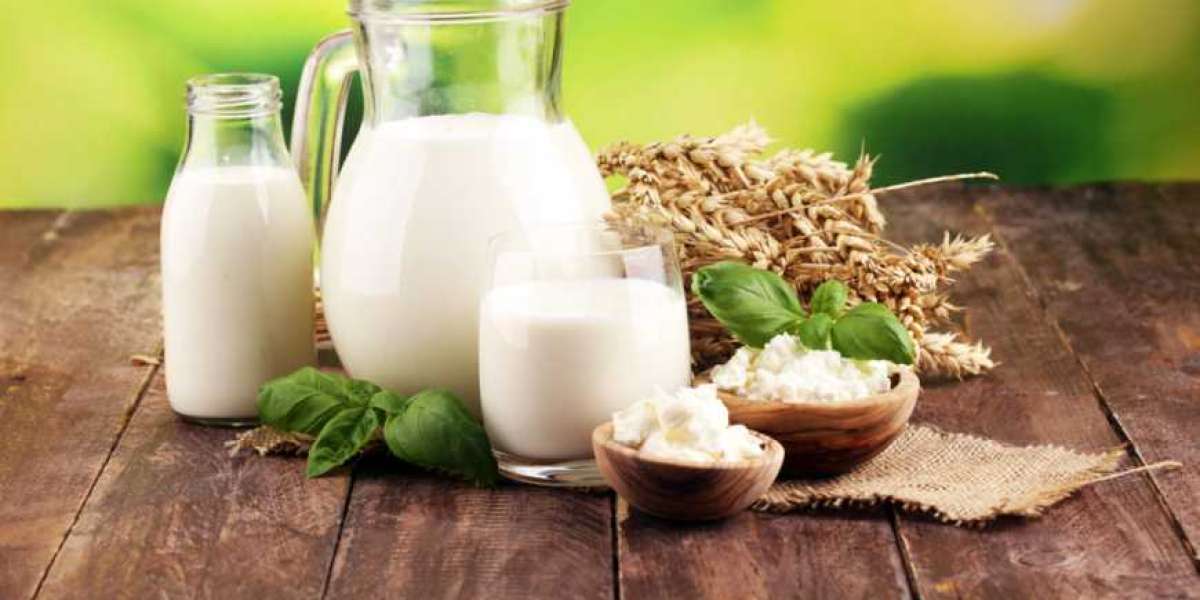 Organic Dairy Products Market Recent Trends, Industry Players Analysis till 2028