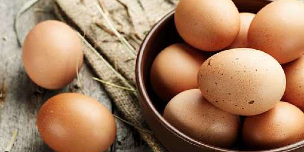 Egg Products Market Gross Margin by Profit Ratio of Region, and Forecast 2030
