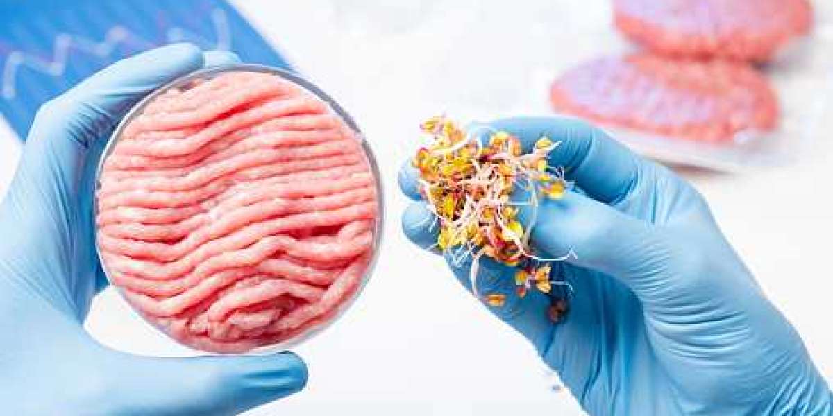 Lab-Based Meat Market Trends by Product, Key Player, Revenue, and Forecast 2030