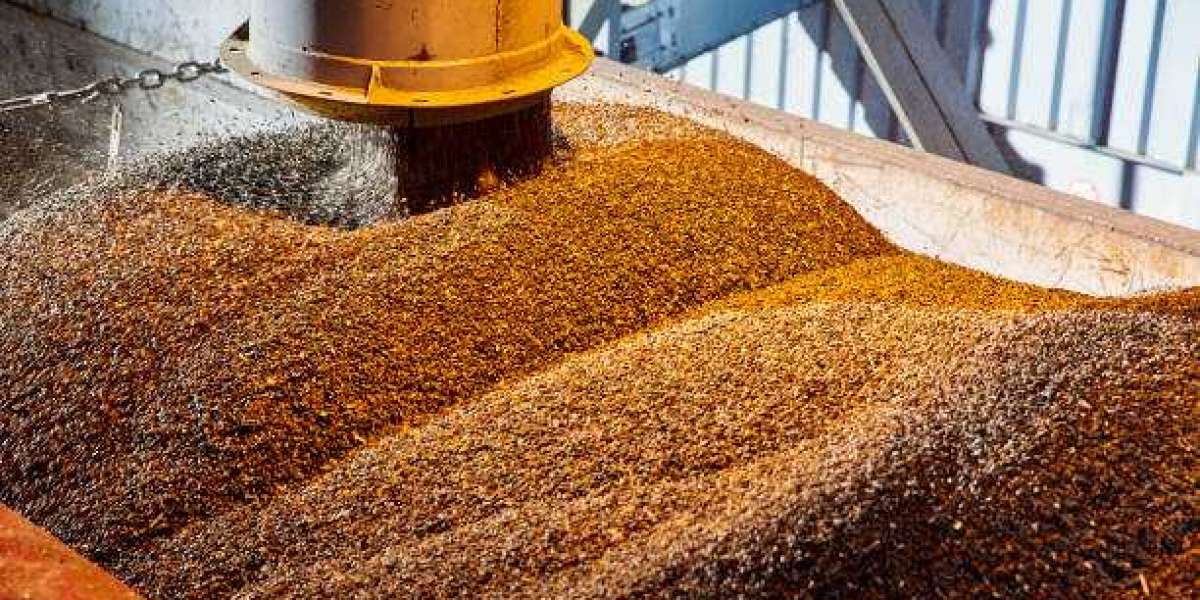 Seed Coating Materials Market Trends, Revenue Size, Factors, Regional Share Analysis & Forecast Till 2030