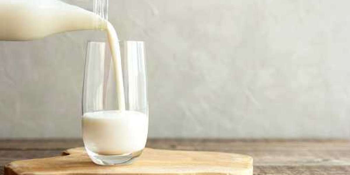 Milk Protein Market Trends by Product, Key Player, Revenue, and Forecast 2030